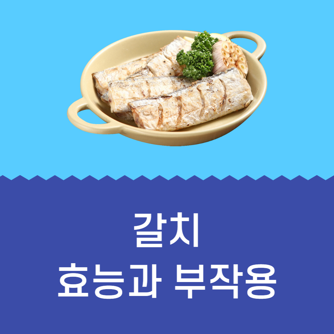 갈치 효능 부작용