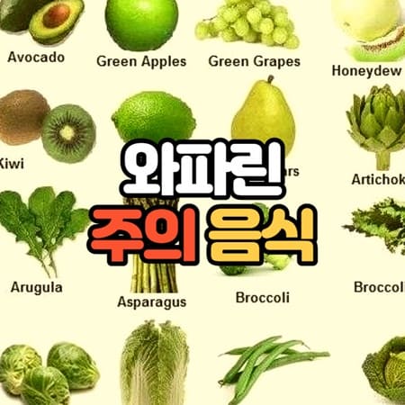 와파린 복용시 주의할 음식