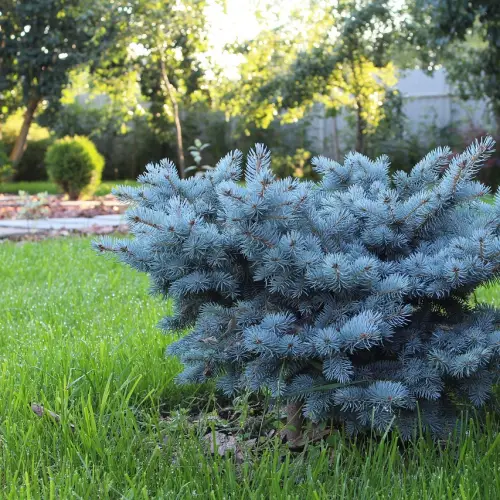 조경기능사 자격증 시험일정
