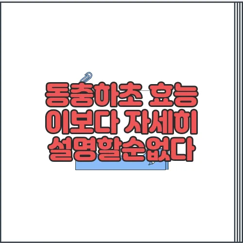 동충하초 효능 이보다 자세히 설명할순없다