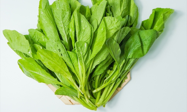 한국 전통 나물 요리, 영양과 효능 관련 사진