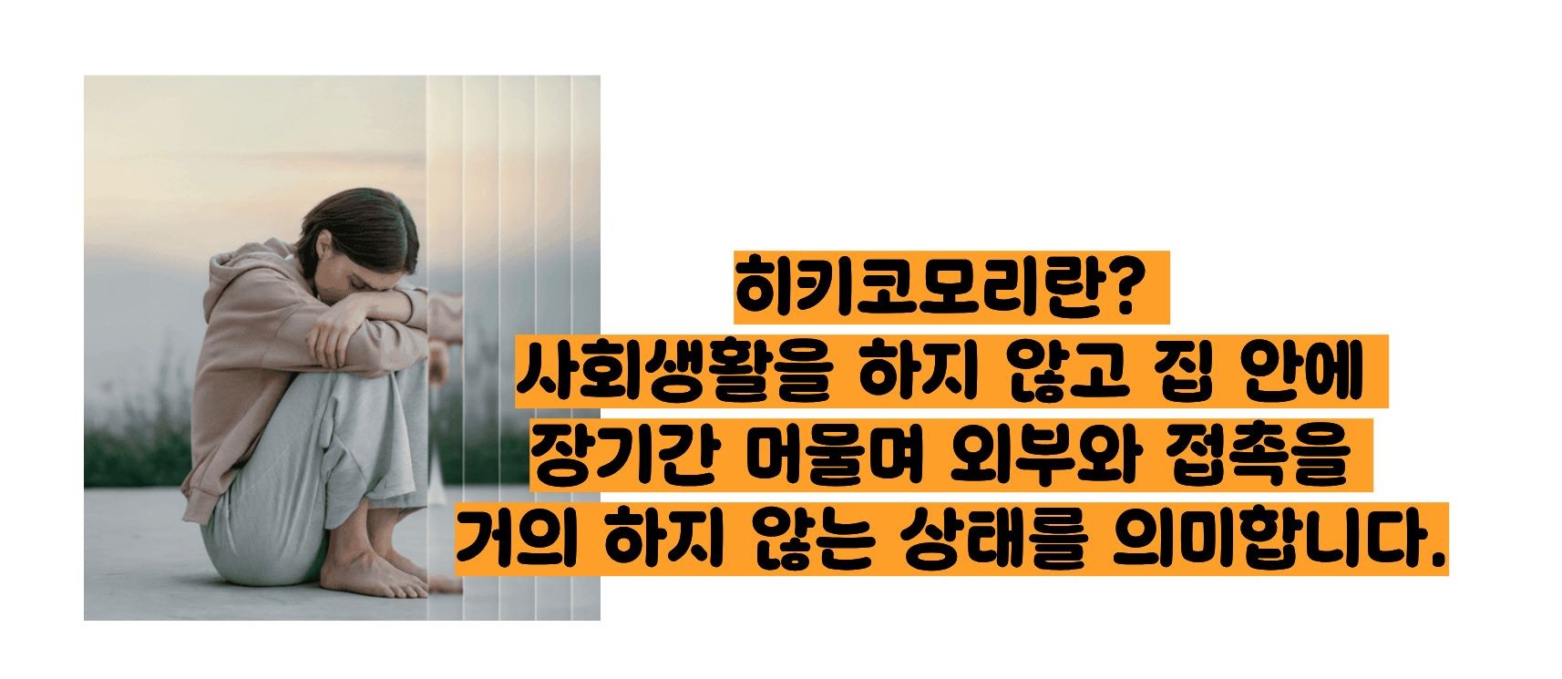 히키코모리 뜻