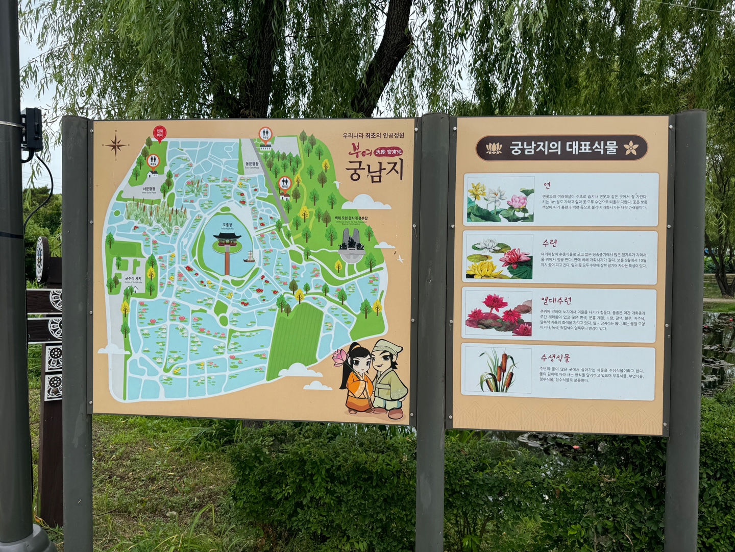 부여연꽃축제