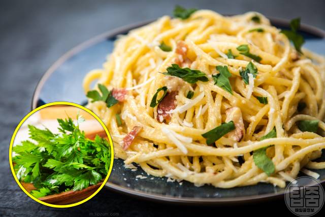 코엔자임q10 많은 음식 복용시간 흡수율 파슬리