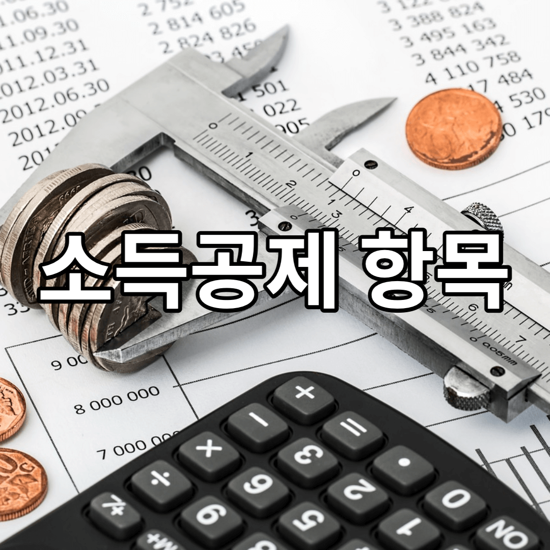 소득-공제-항목