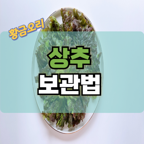상추의 3가지 보관방법
