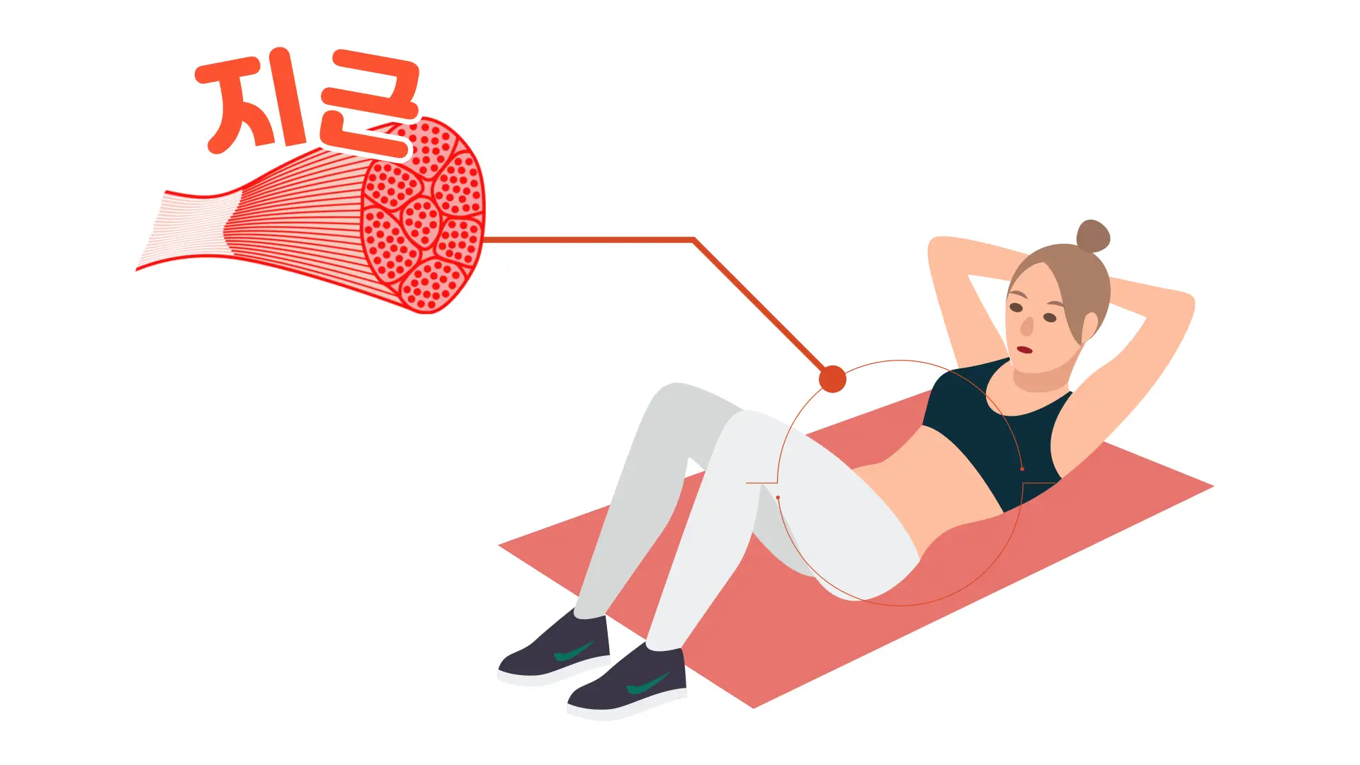 지근-코어-근육