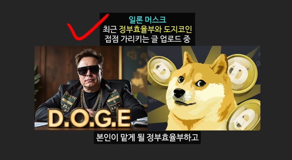 일론 머스크의 충격 발언과 도지코인, 플로키코인, 위프코인, 피넛코인, 프레드 코인의 강력한 상승 가능성 분석