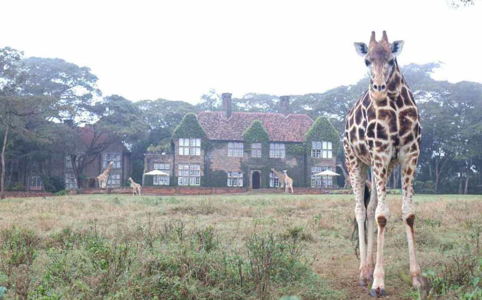 전 세계 이색 호텔 케냐