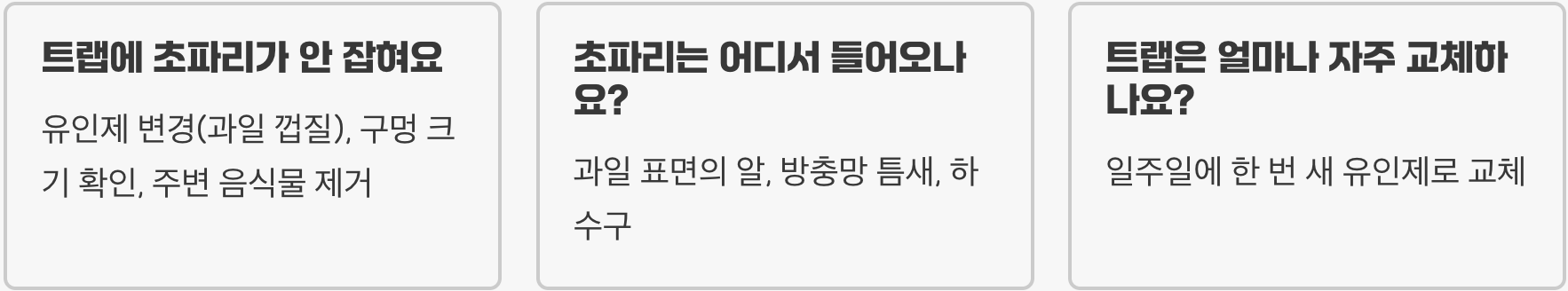 초파리트랩 효과 좋은 설치 방법, 부엌·싱크대 주변에서 초파리 잡는 확실한 요령