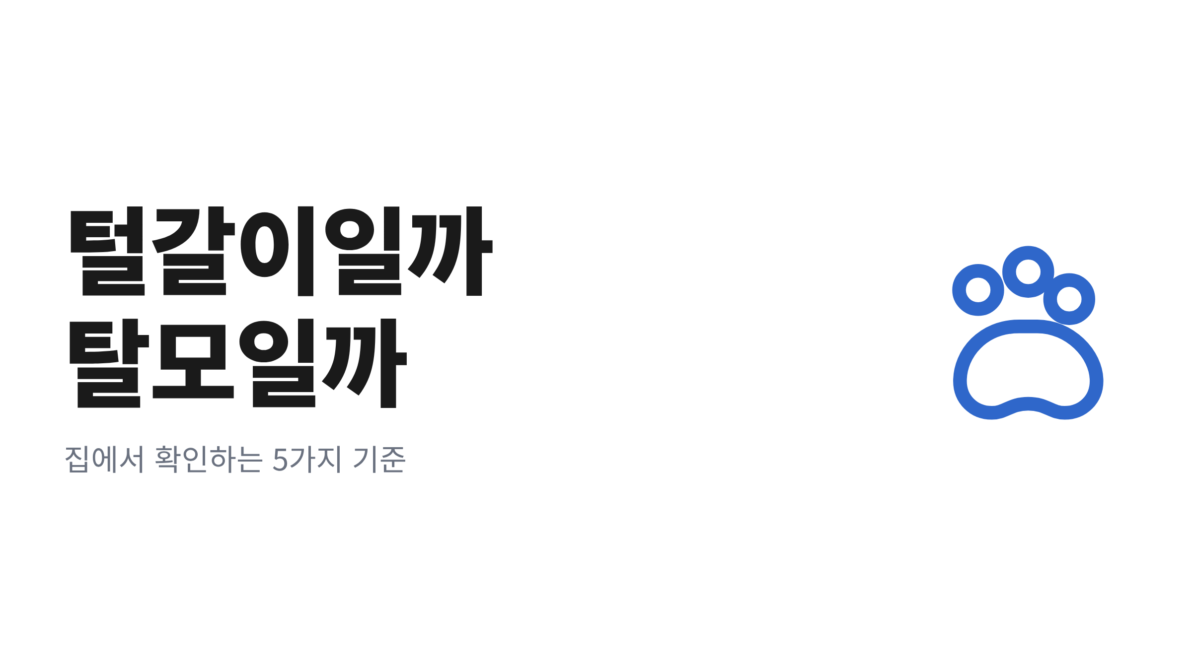 가을 낙엽이 깔린 산책로에 앉아 있는 갈색 단모 강아지의 옆모습