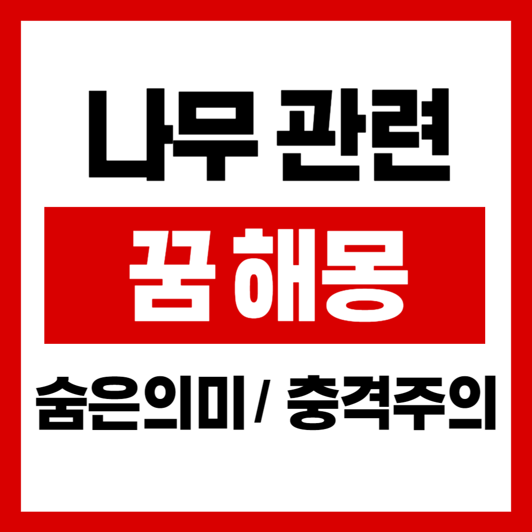 나무 꿈해몽 관련 이미지