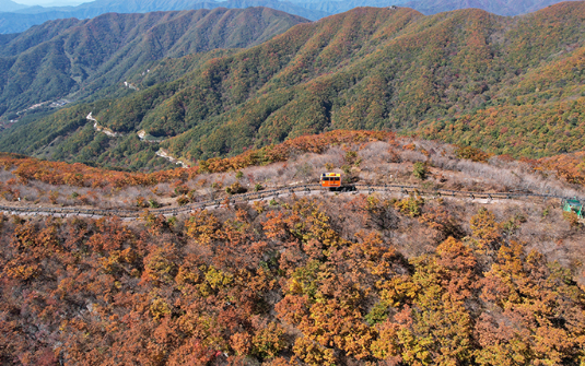 함양 대봉산 모노레일 후기: 가족&amp;#44; 커플 여행자에게 추천하는 이유