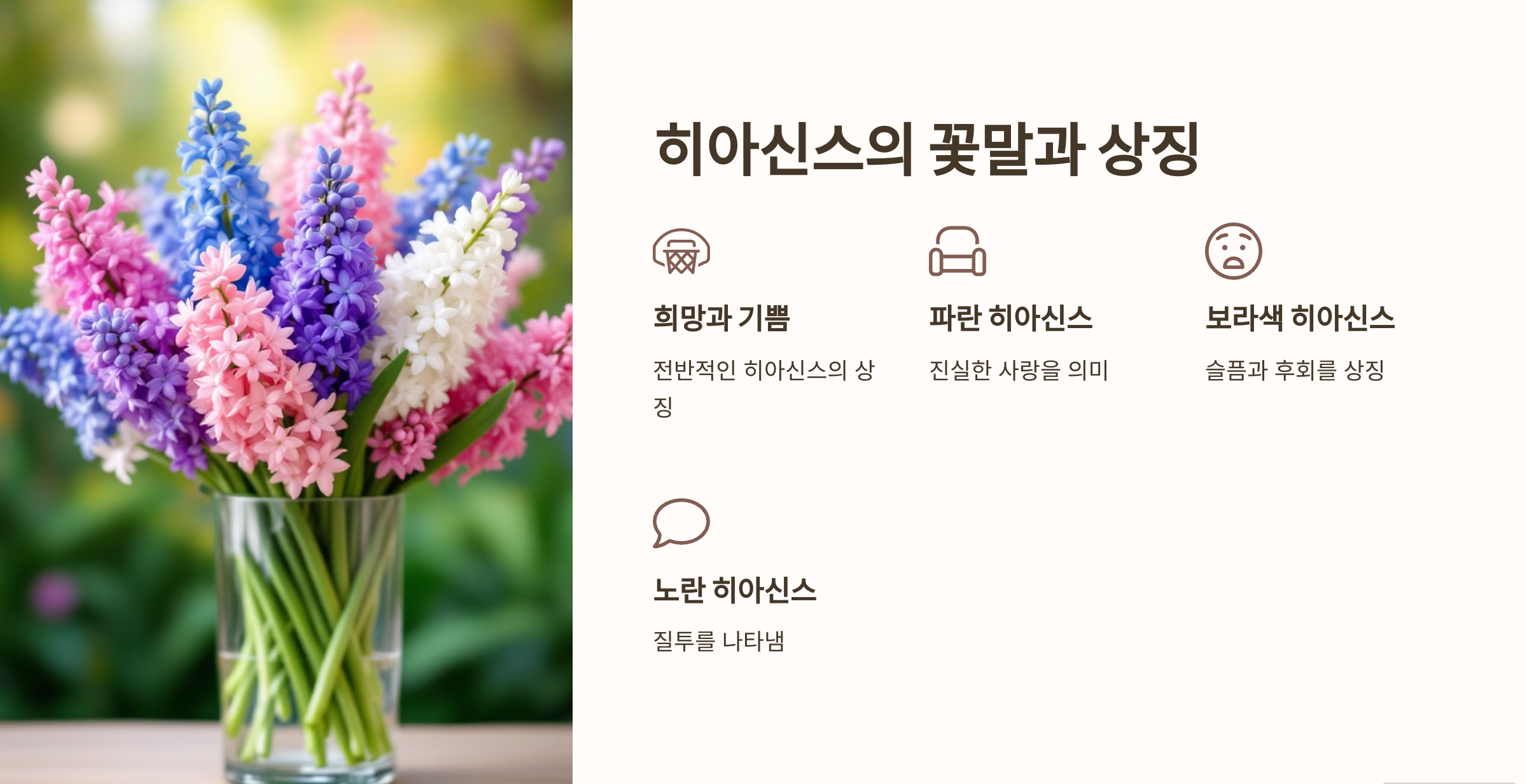 히아신스