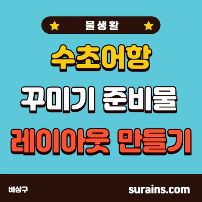 수초어항 꾸미기 준비물 레이아웃 만들기 정보