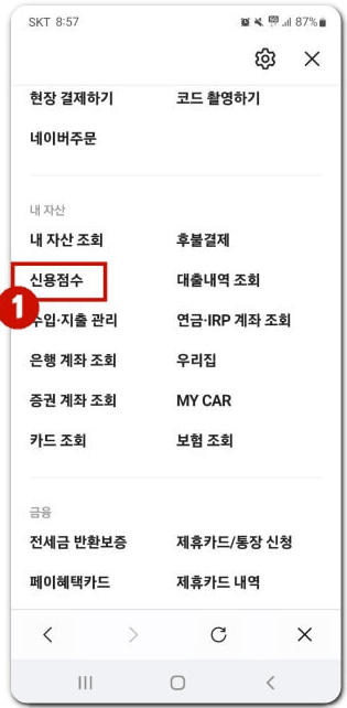 신용 점수 조회 방법 무료[nice, kcb, 토스, 카카오, 네이버]