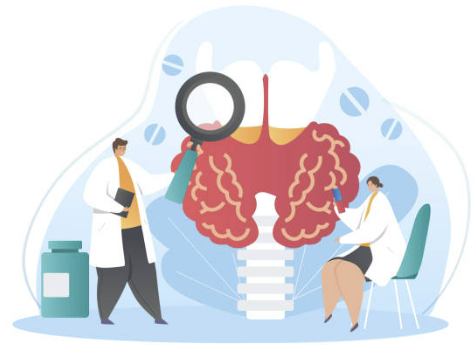 갑상선 기능저하증 증상 좋은 음식 수치 등 알아보기 (24년 Ver)