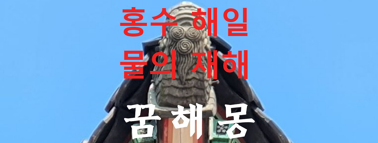 꿈해몽