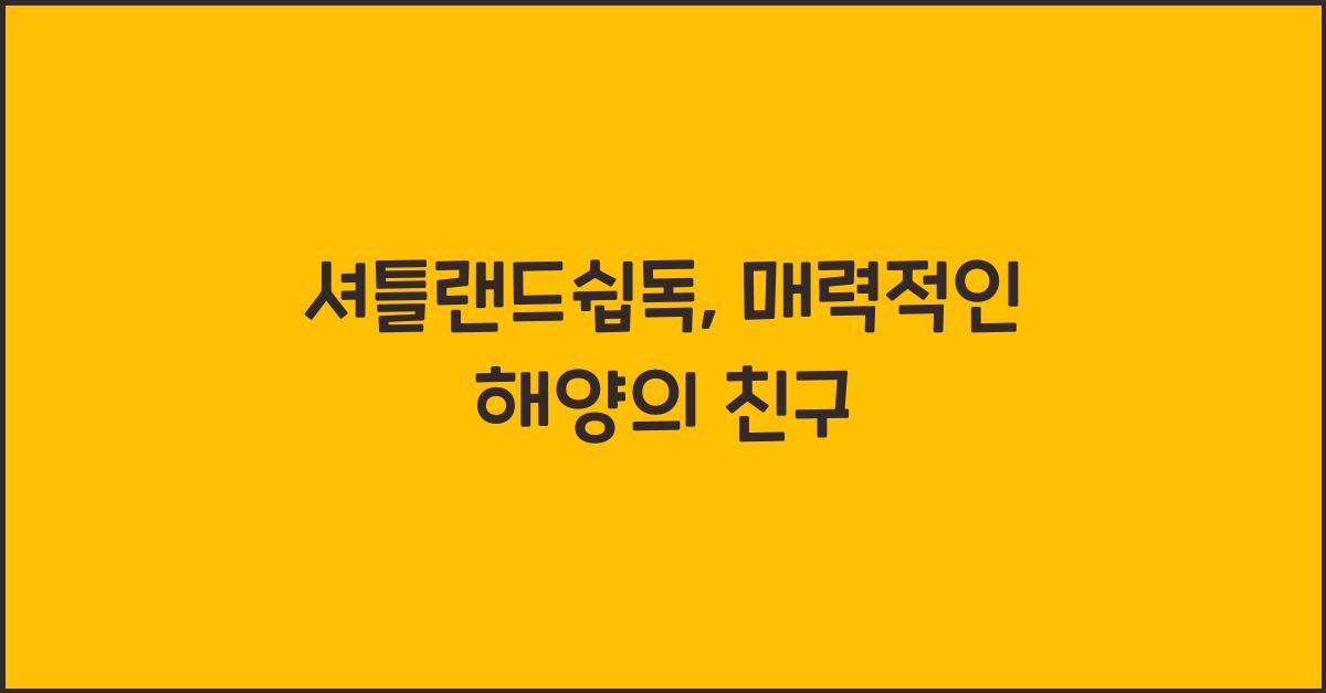 셔틀랜드쉽독