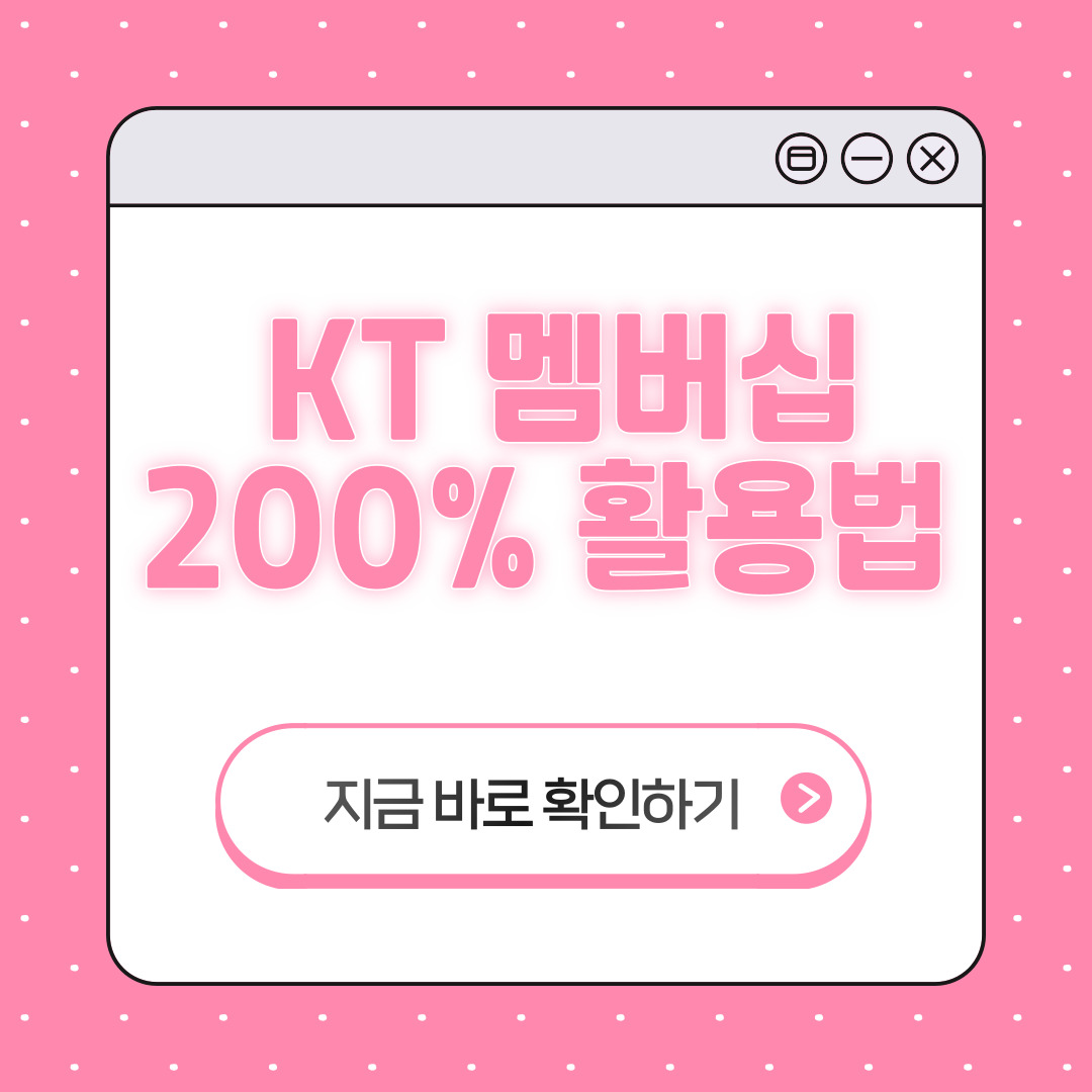 kt 포인트