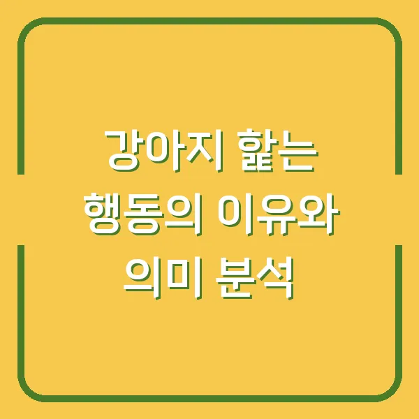 강아지 핥는 행동의 이유와 의미 분석