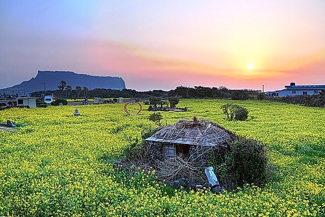 제주도-성산-일출봉