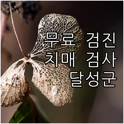 2025년 달성군 치매 검사: 무료 ..