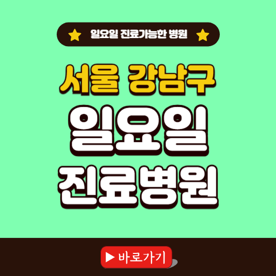 서울 강남구 일요일 진료 가능한 병원 ❘ 주말 문여는 곳 총정리 (소아과, 내과, 안과, 치과, 피부과, 정형외과, 산부인과)