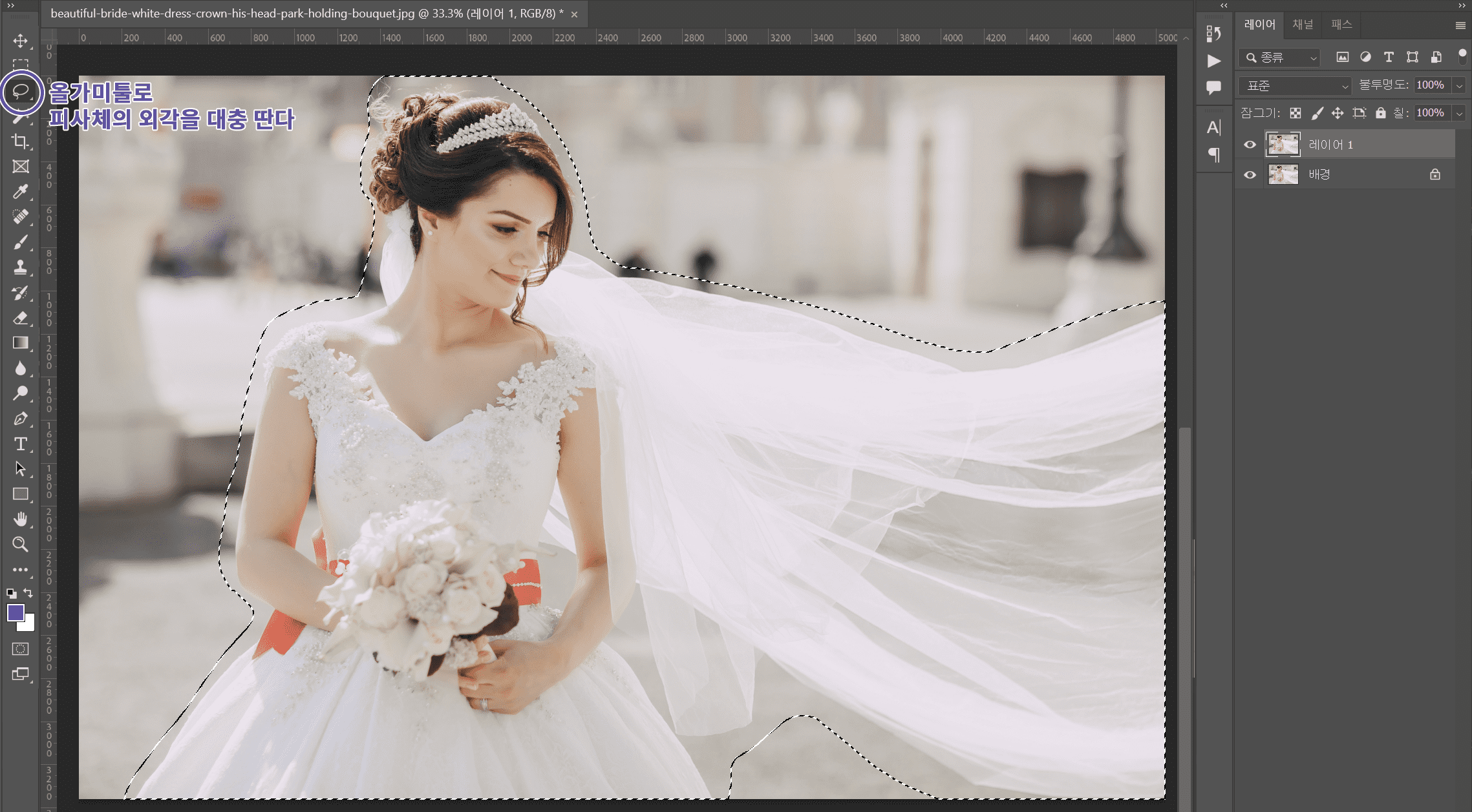 올가미 툴로 피사체 선택