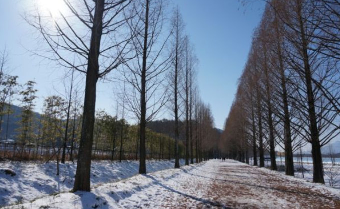 1월 전라남도 가볼만한곳 추천 ❘ 새해 신년 국내 겨울 여행지 ❘ 전라도 명소 ❘ 가족 실내 데이트