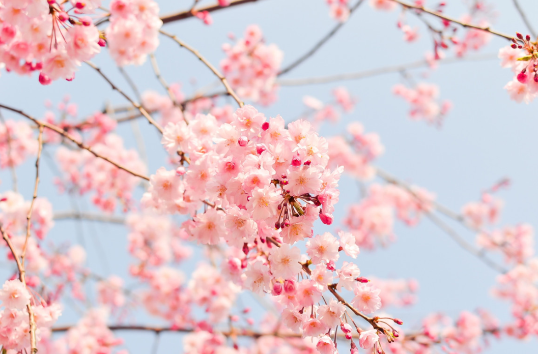 알레르기_마무리