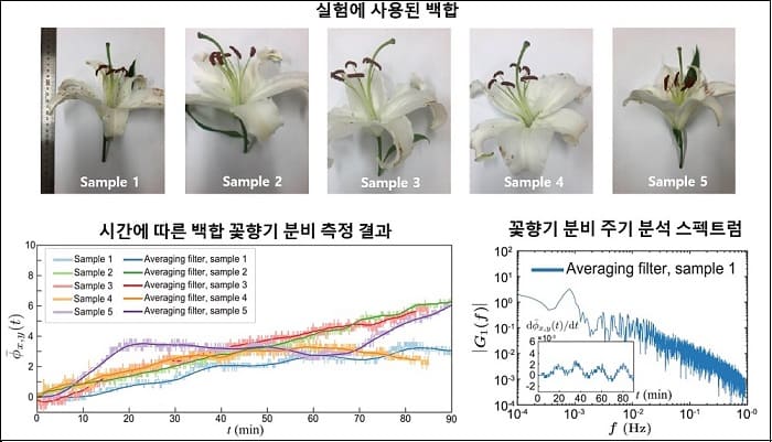 "꽃향기, 이젠 코로 맡지 않고 눈으로 본다" 카이스트 연구팀