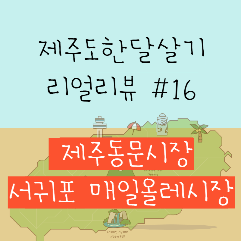 제주동문시장&#44; 서귀포 매일올레시장