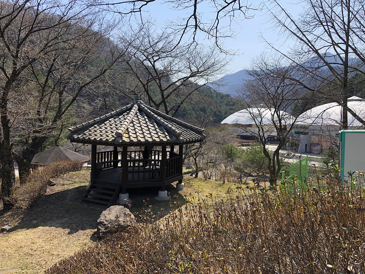 정자