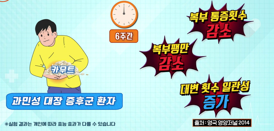 카무트 효소 효능