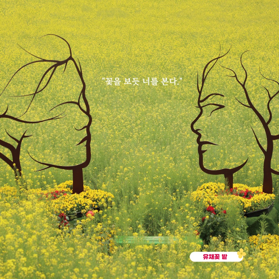  2024 화순 고인돌 봄꽃축제 프로그램