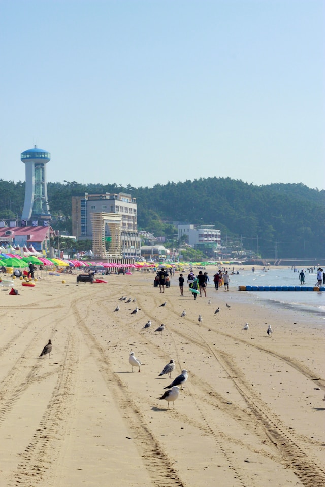 2026 지역사랑 휴가지원제 신청방법 및 자격