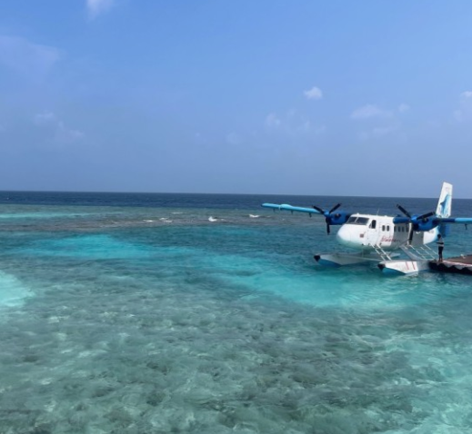 해외여행자-보험