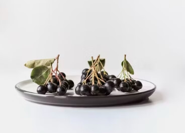 아로니아 먹는 가장 좋은 방법