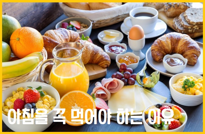 아침을 꼭 먹어야 하는 이유 아침식사의 이점