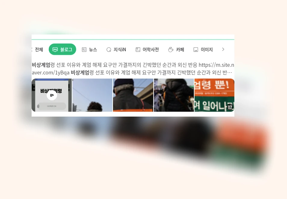 비상계엄_1_subsection
