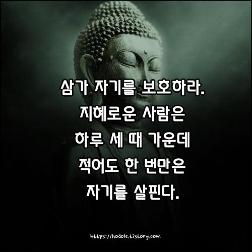 법구경2