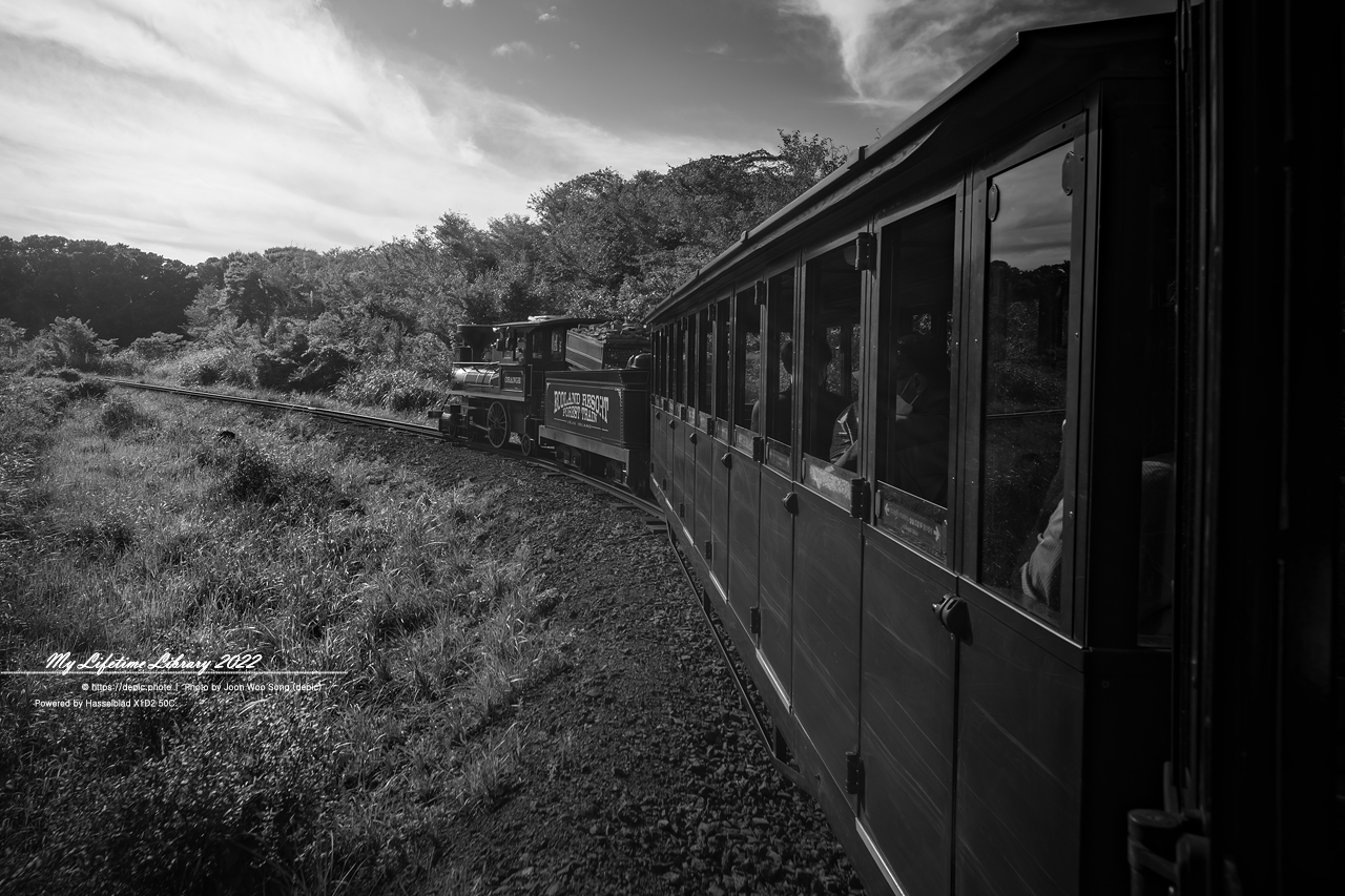 #제주 #에코랜드 #연못 #호수 #기차 #2022제주여행