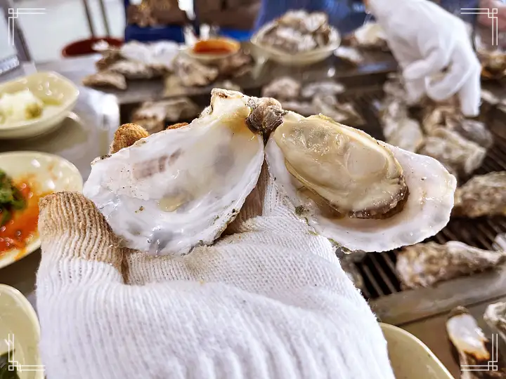 진심 가득 건강 담은 맛 여수 맛집 추천 생방송투데이 굴 구이 오늘방송 자족식당