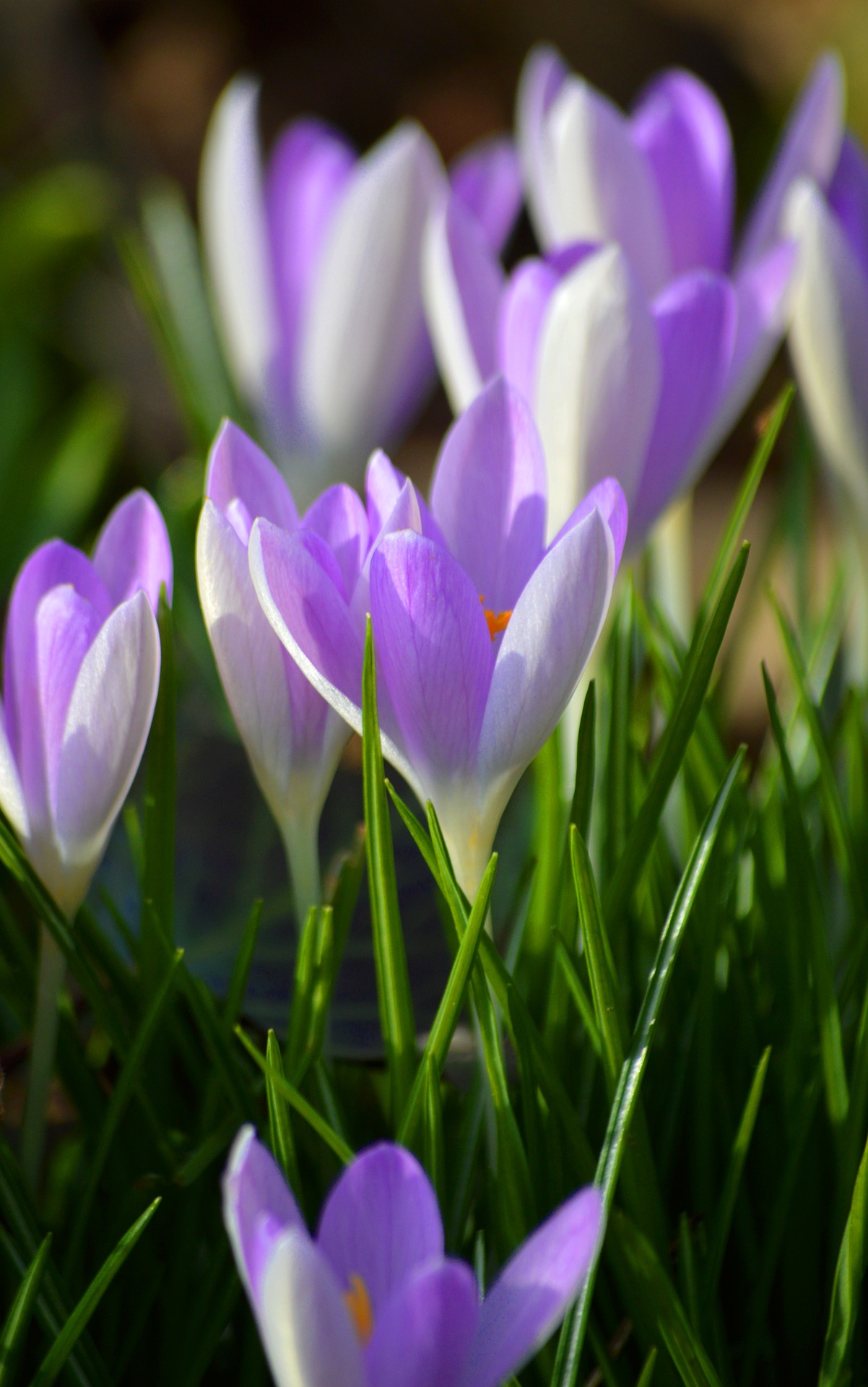 "앞으로 출근 365번만 더 하면 자유!" 은퇴 D-Day 카운트다운과 '자유의 날' 선포