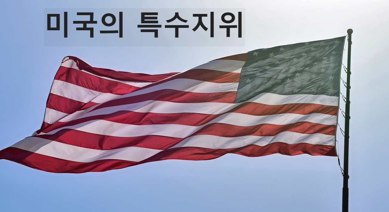 미국의 특수지위