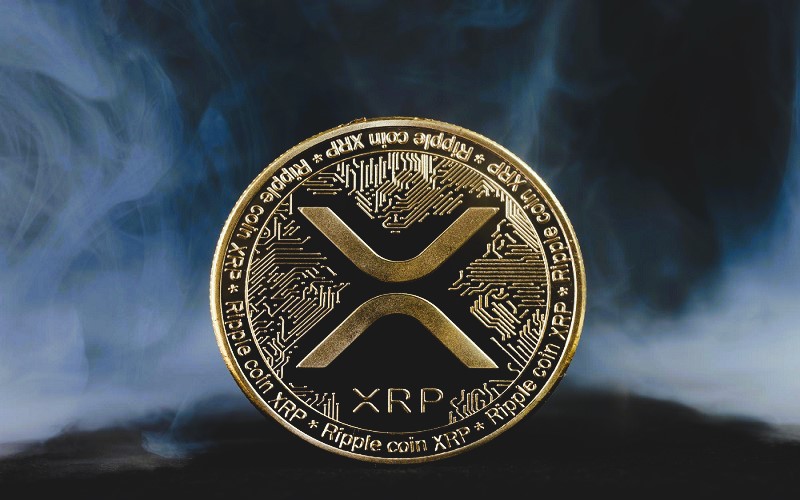 리플넷: 글로벌 결제 네트워크