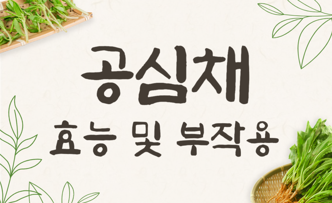 공심채(모닝글로리) 효능 부작용