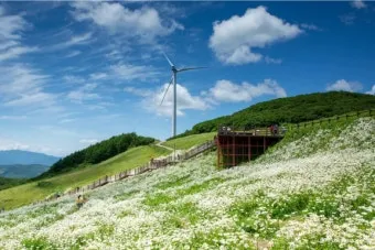 평창 가볼만한곳 베스트10 완벽 자연 여행_13