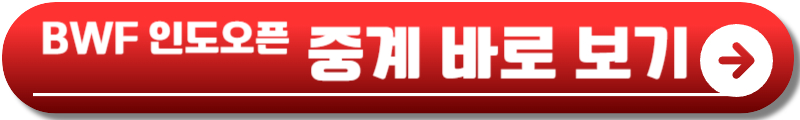 안세영